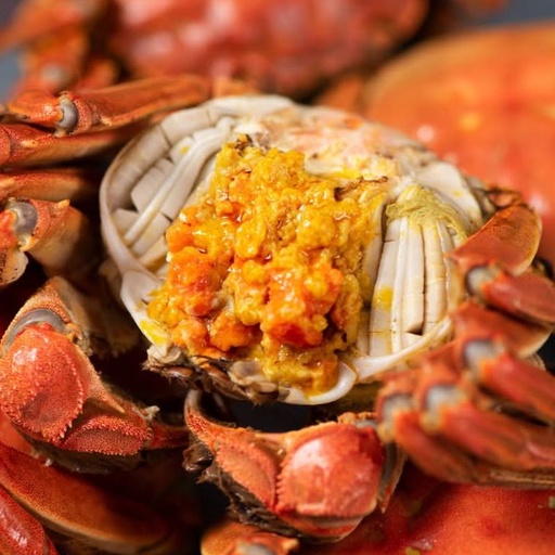 爆膏大閘蟹（蟹公）